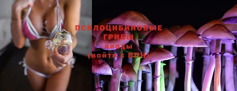 Галлюциногенные грибы Magic Shrooms Кириллов